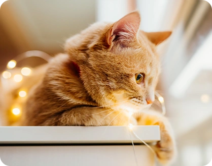 UMIDIGI Note 100x 5G